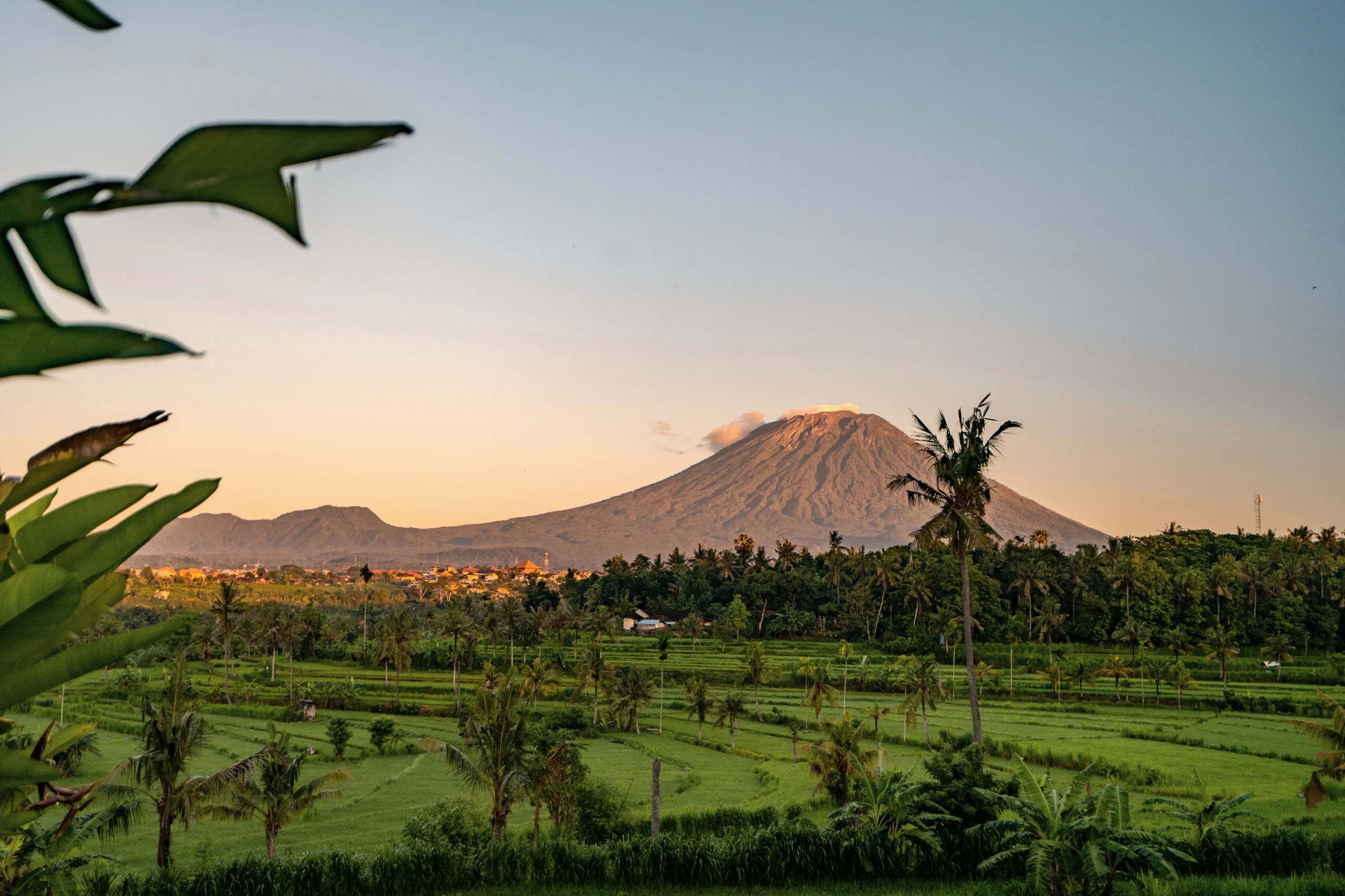 Bali Droom Villas – Villa Palmdream